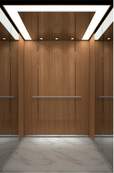 SIVA passenger lift cabin SV-K142